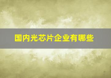 国内光芯片企业有哪些