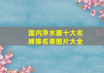 国内净水器十大名牌排名表图片大全