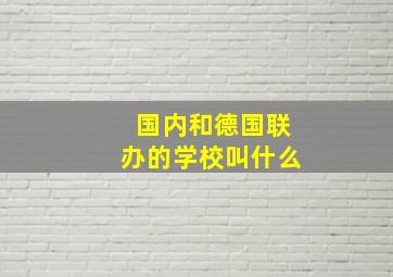 国内和德国联办的学校叫什么