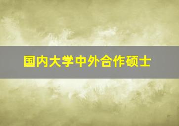 国内大学中外合作硕士