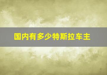 国内有多少特斯拉车主