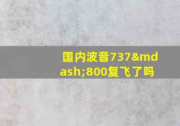 国内波音737—800复飞了吗