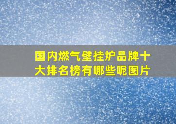 国内燃气壁挂炉品牌十大排名榜有哪些呢图片