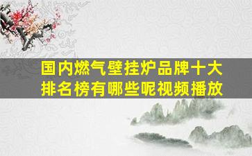 国内燃气壁挂炉品牌十大排名榜有哪些呢视频播放