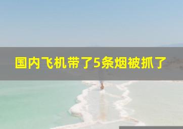 国内飞机带了5条烟被抓了