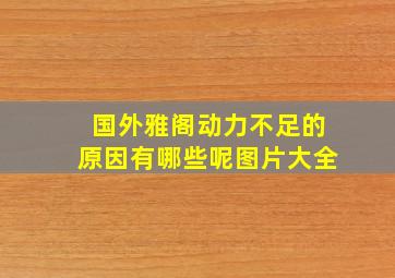 国外雅阁动力不足的原因有哪些呢图片大全