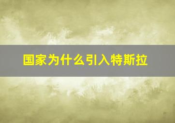 国家为什么引入特斯拉