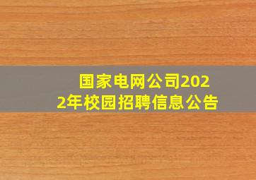 国家电网公司2022年校园招聘信息公告