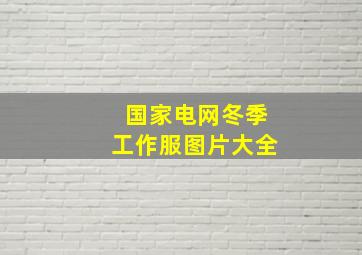 国家电网冬季工作服图片大全