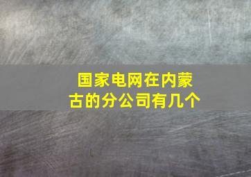 国家电网在内蒙古的分公司有几个