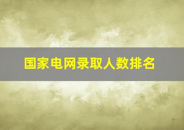 国家电网录取人数排名