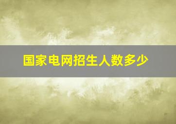 国家电网招生人数多少