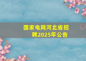 国家电网河北省招聘2025年公告