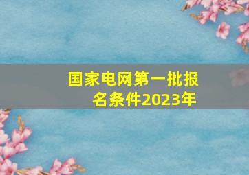 国家电网第一批报名条件2023年