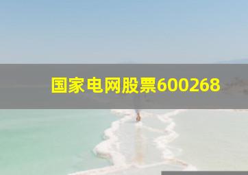 国家电网股票600268