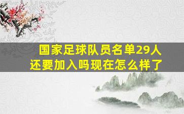 国家足球队员名单29人还要加入吗现在怎么样了