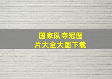 国家队夺冠图片大全大图下载