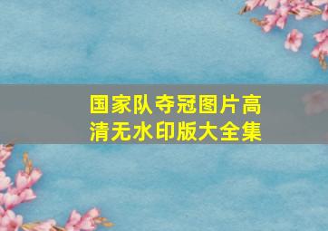 国家队夺冠图片高清无水印版大全集