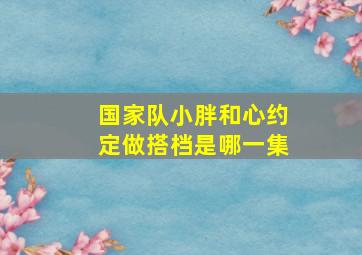 国家队小胖和心约定做搭档是哪一集