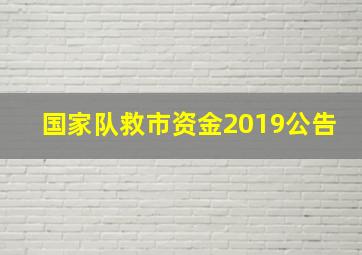 国家队救市资金2019公告