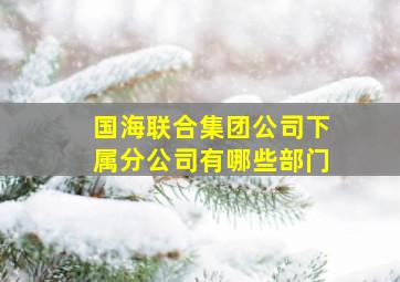 国海联合集团公司下属分公司有哪些部门