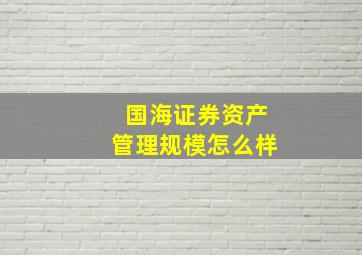 国海证券资产管理规模怎么样