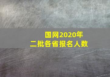 国网2020年二批各省报名人数