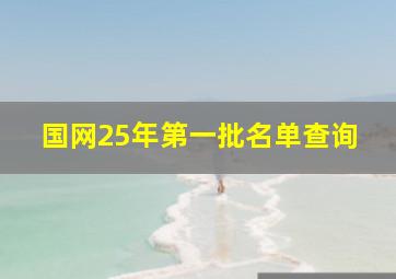 国网25年第一批名单查询