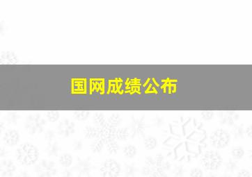 国网成绩公布