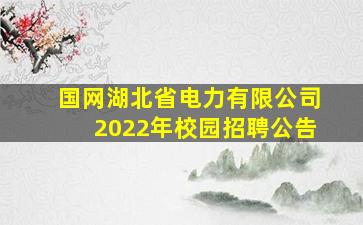 国网湖北省电力有限公司2022年校园招聘公告