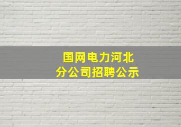 国网电力河北分公司招聘公示