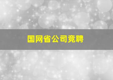 国网省公司竞聘