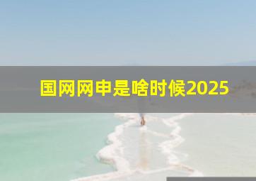 国网网申是啥时候2025