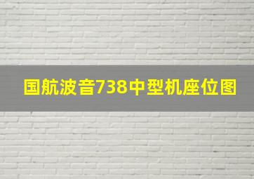 国航波音738中型机座位图