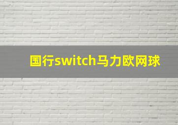 国行switch马力欧网球