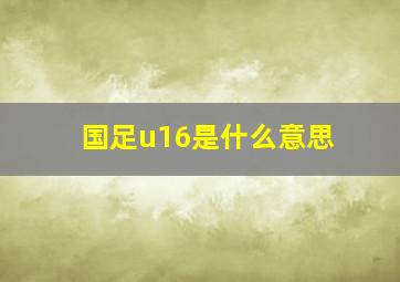 国足u16是什么意思