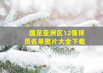 国足亚洲区12强球员名单图片大全下载