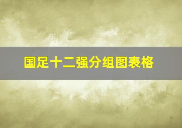 国足十二强分组图表格