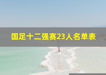 国足十二强赛23人名单表