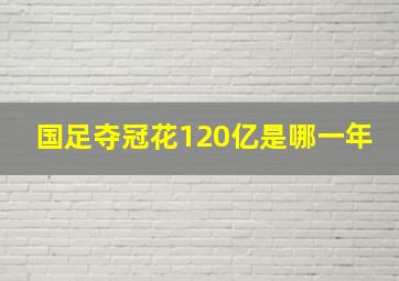 国足夺冠花120亿是哪一年