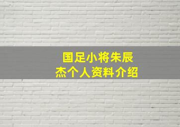 国足小将朱辰杰个人资料介绍