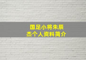 国足小将朱辰杰个人资料简介