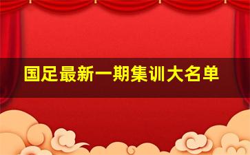 国足最新一期集训大名单