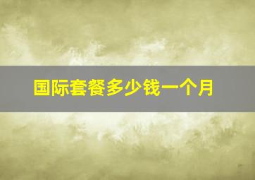 国际套餐多少钱一个月