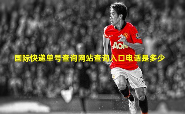 国际快递单号查询网站查询入口电话是多少