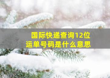 国际快递查询12位运单号码是什么意思