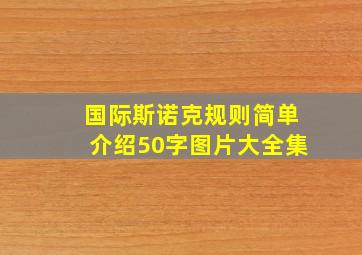 国际斯诺克规则简单介绍50字图片大全集