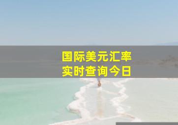 国际美元汇率实时查询今日