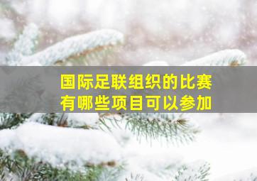 国际足联组织的比赛有哪些项目可以参加