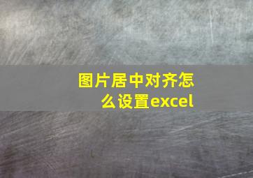 图片居中对齐怎么设置excel